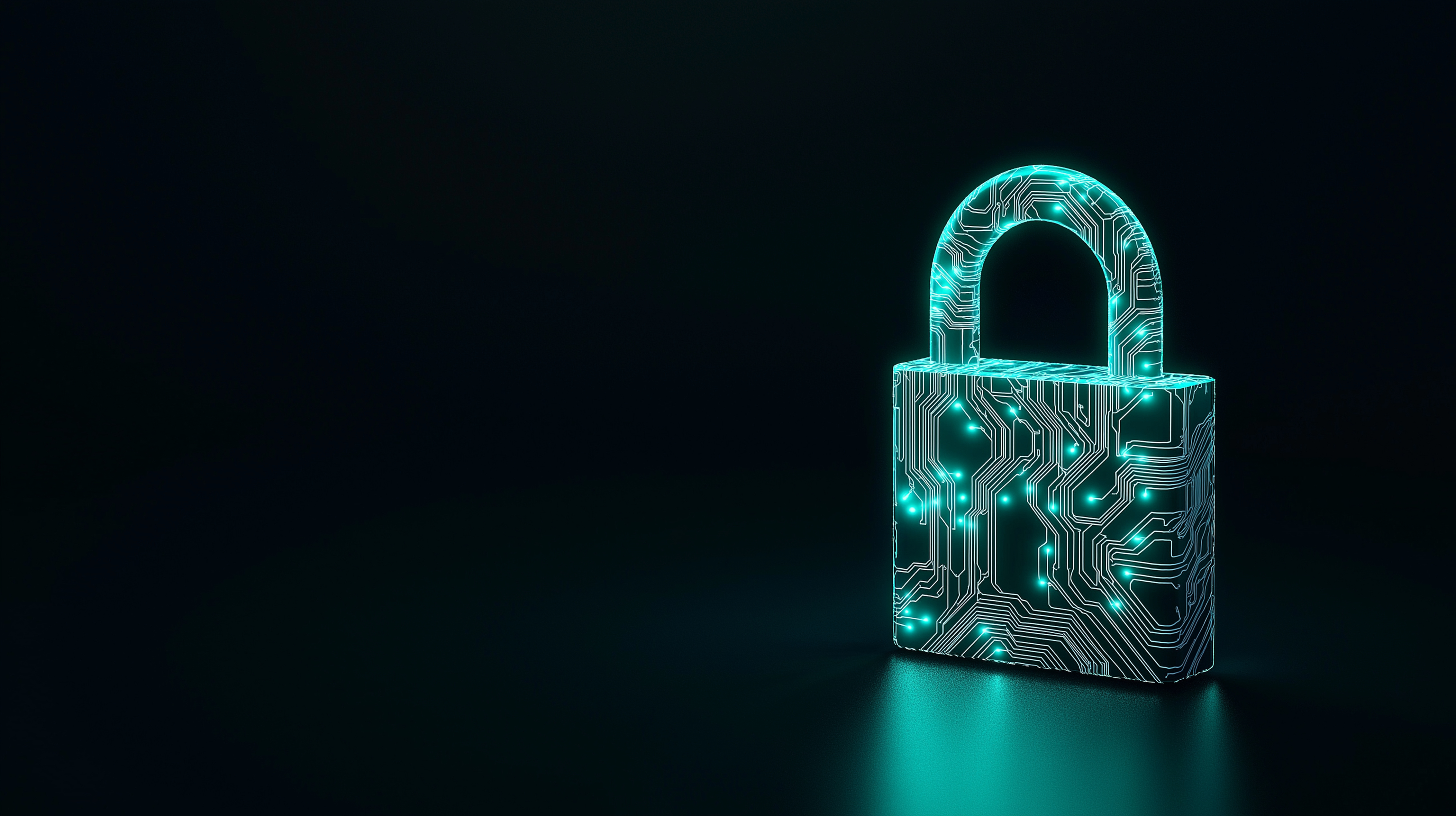 Digital security lock